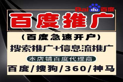 百度推广在体育行业中的营销策略与效果